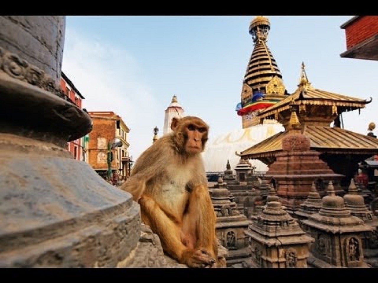Discovering Kathmandu: Full-Day City Highlights Bus Tour 3