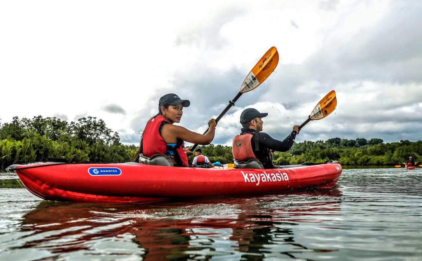 Bohol: SUSTAINABLE Mangrove Tunnels & Firefly Kayaking trail 2
