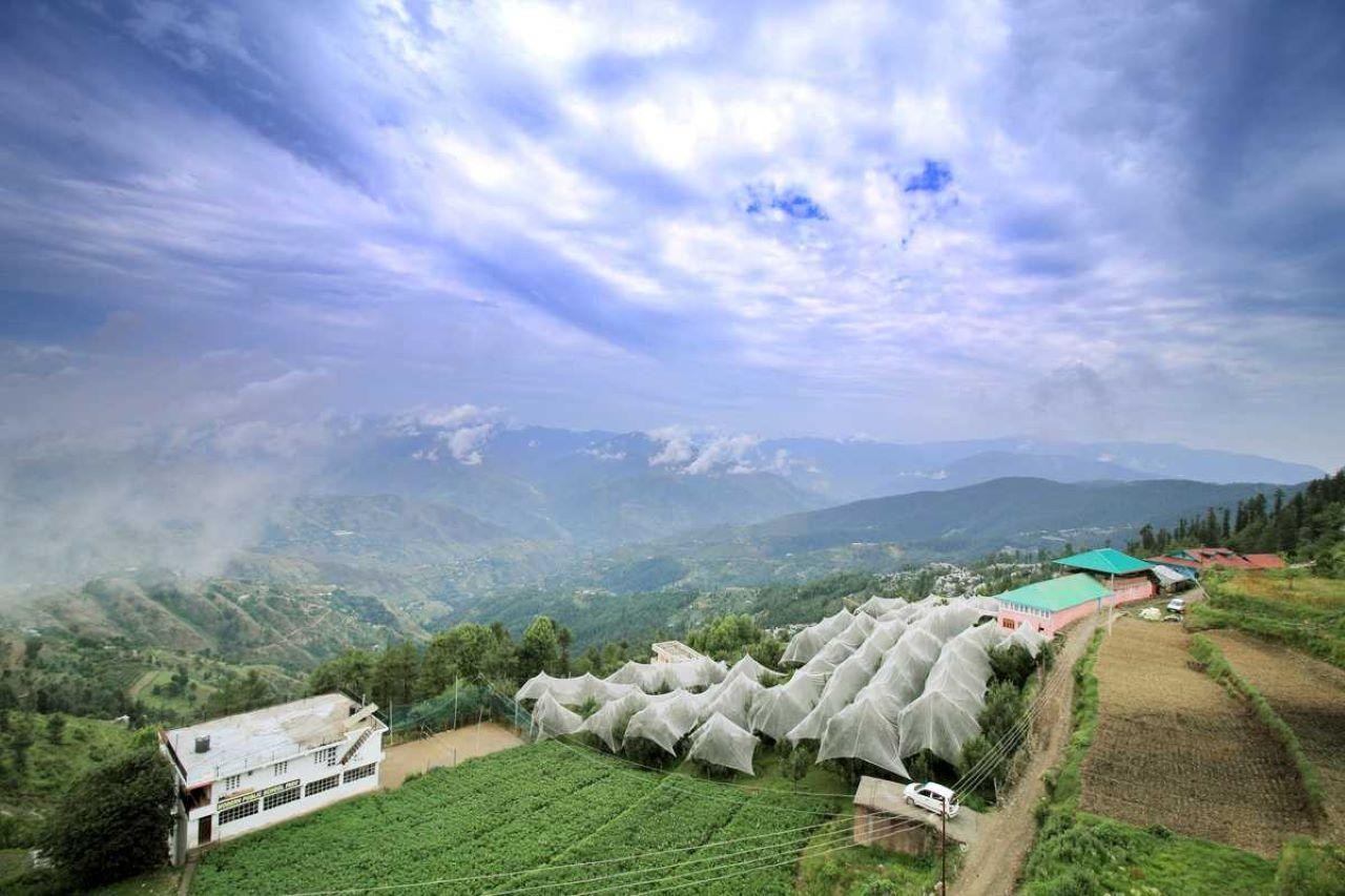 Luxury 8-Day Golden Triangle Tour with Shimla & Manali 3