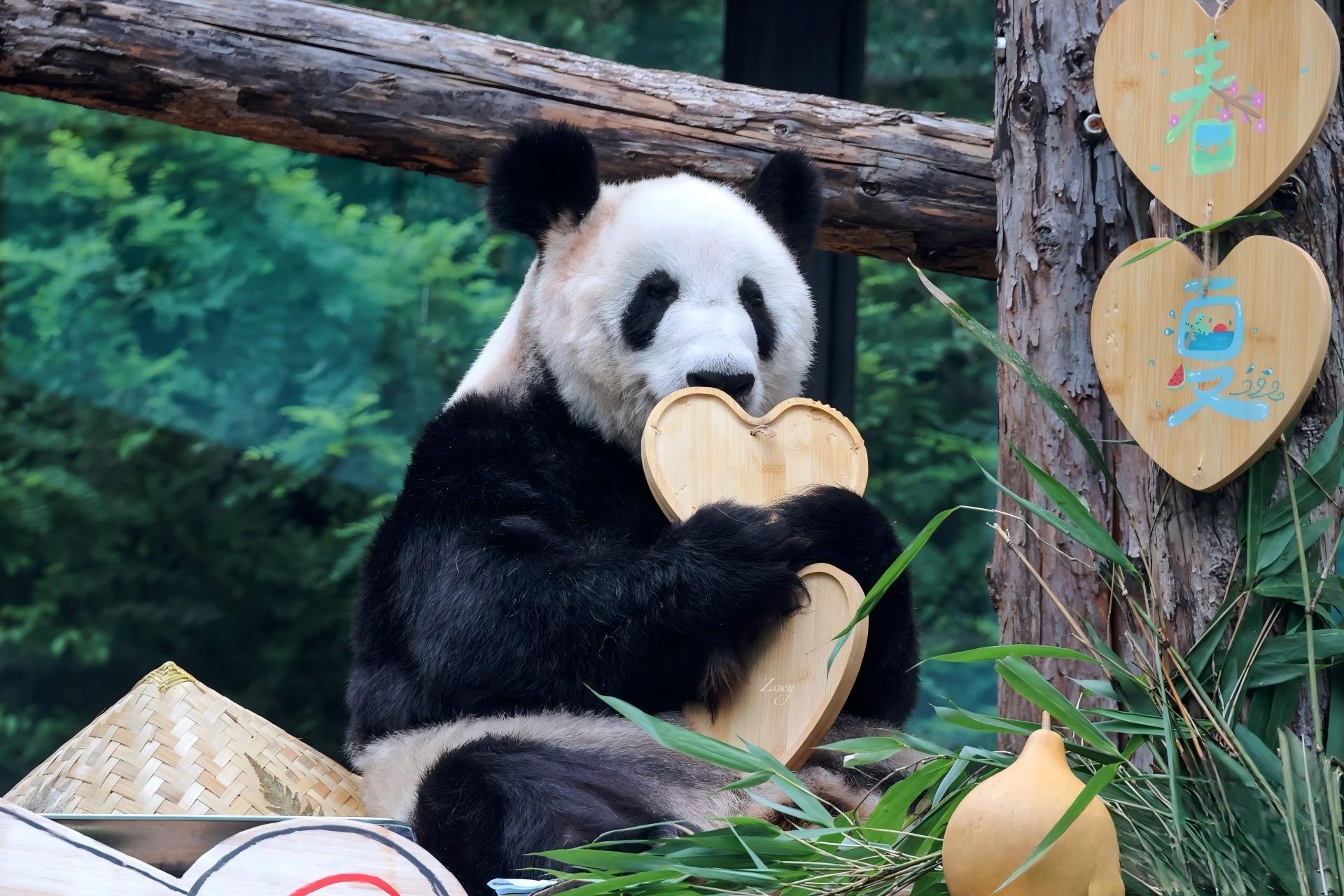 4-Day Beijing Private Tour w/ Guide 3