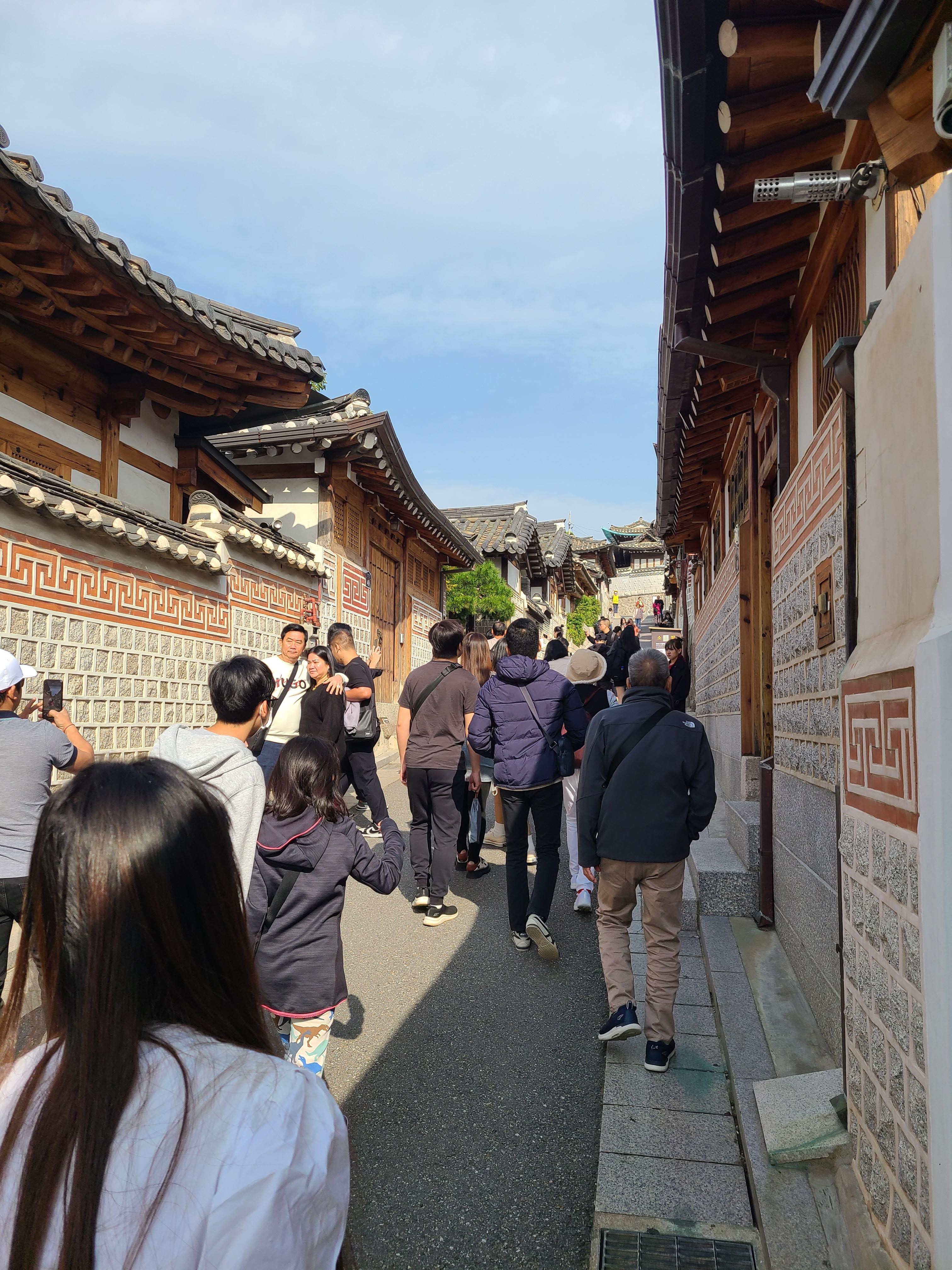 Layover Tour to Seoul Gyeongbokgung Palace and Key Places 3