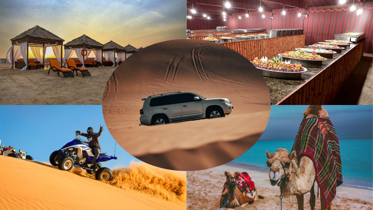 Doha: Desert Safari with Lunch or Dinner by the Seaside
