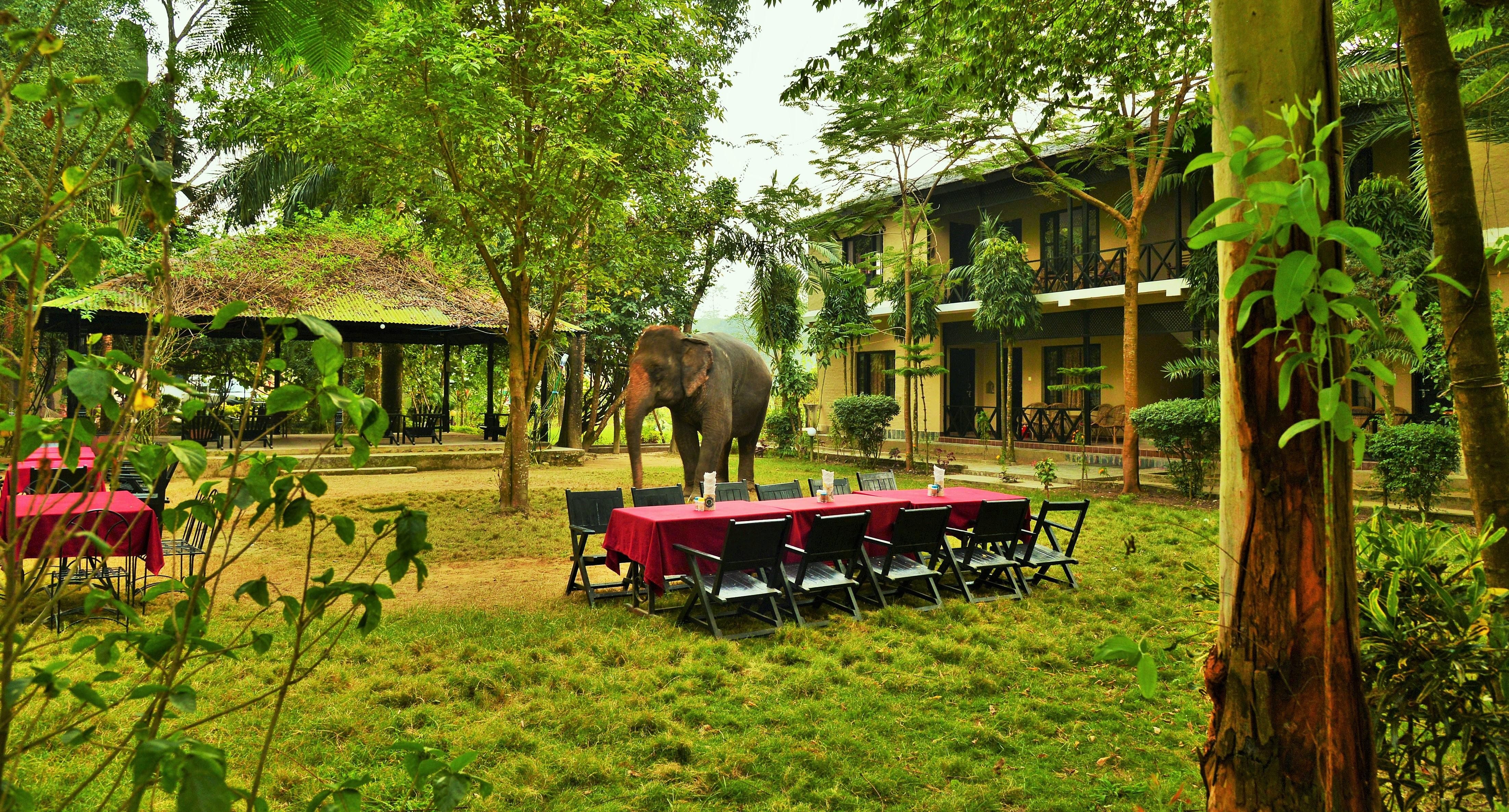 Kathmandu: Private 15-Day Complete Nepal Tour with Safari