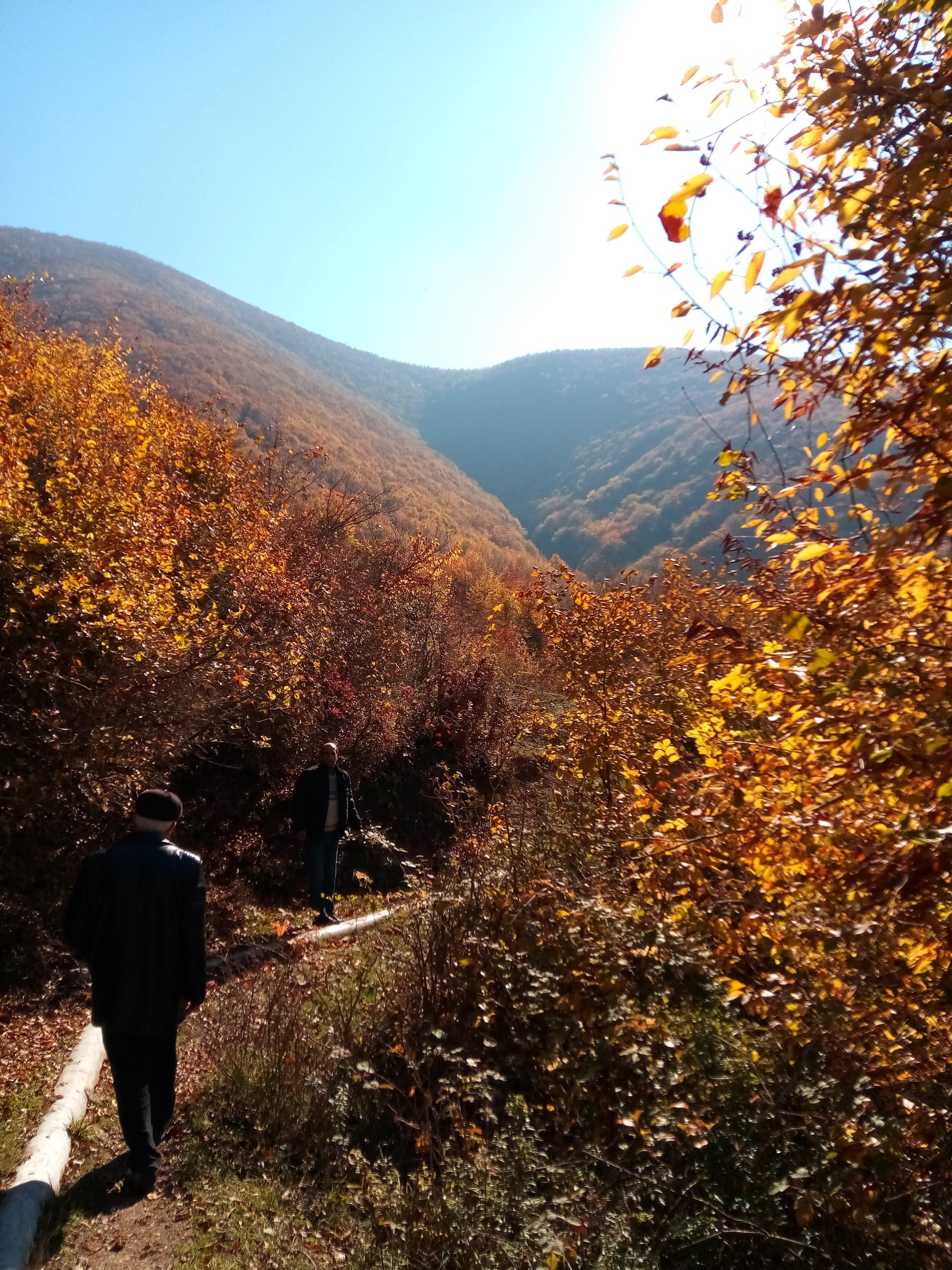 Sheki: UNESCO Heritage and Hiking Tour with Guide 3