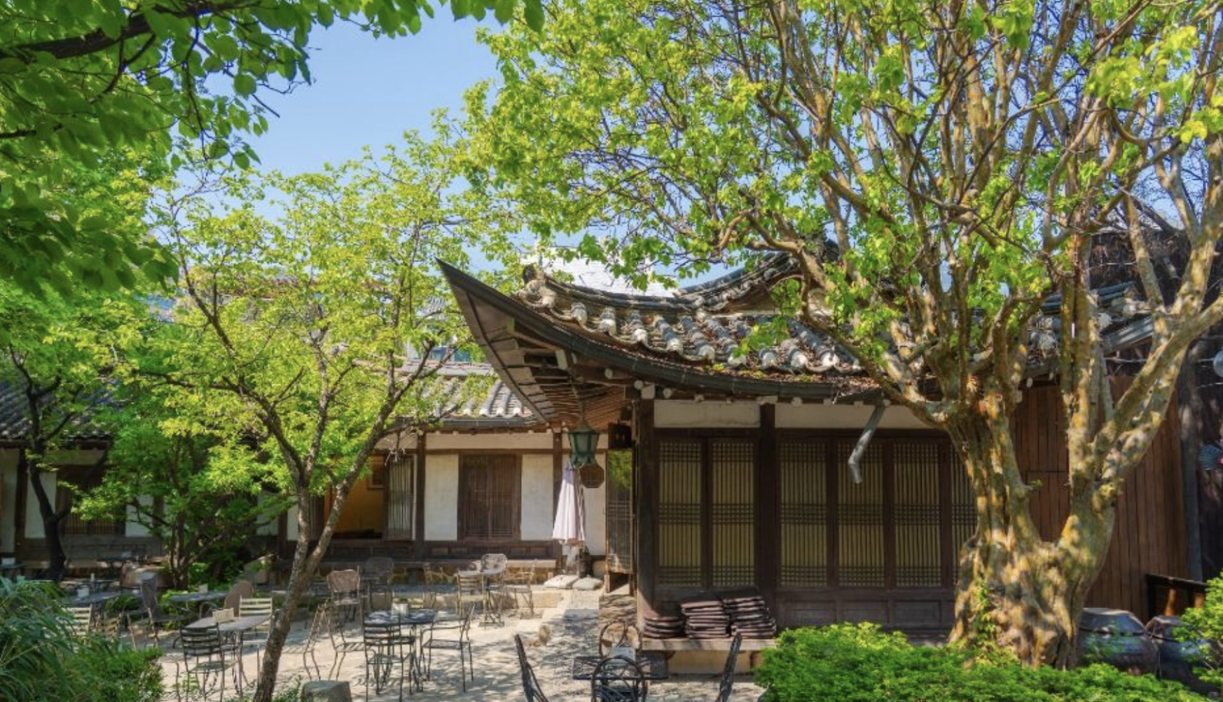 Seoul: Insadong & Jogye Temple Cultural Guided Walking Tour 3