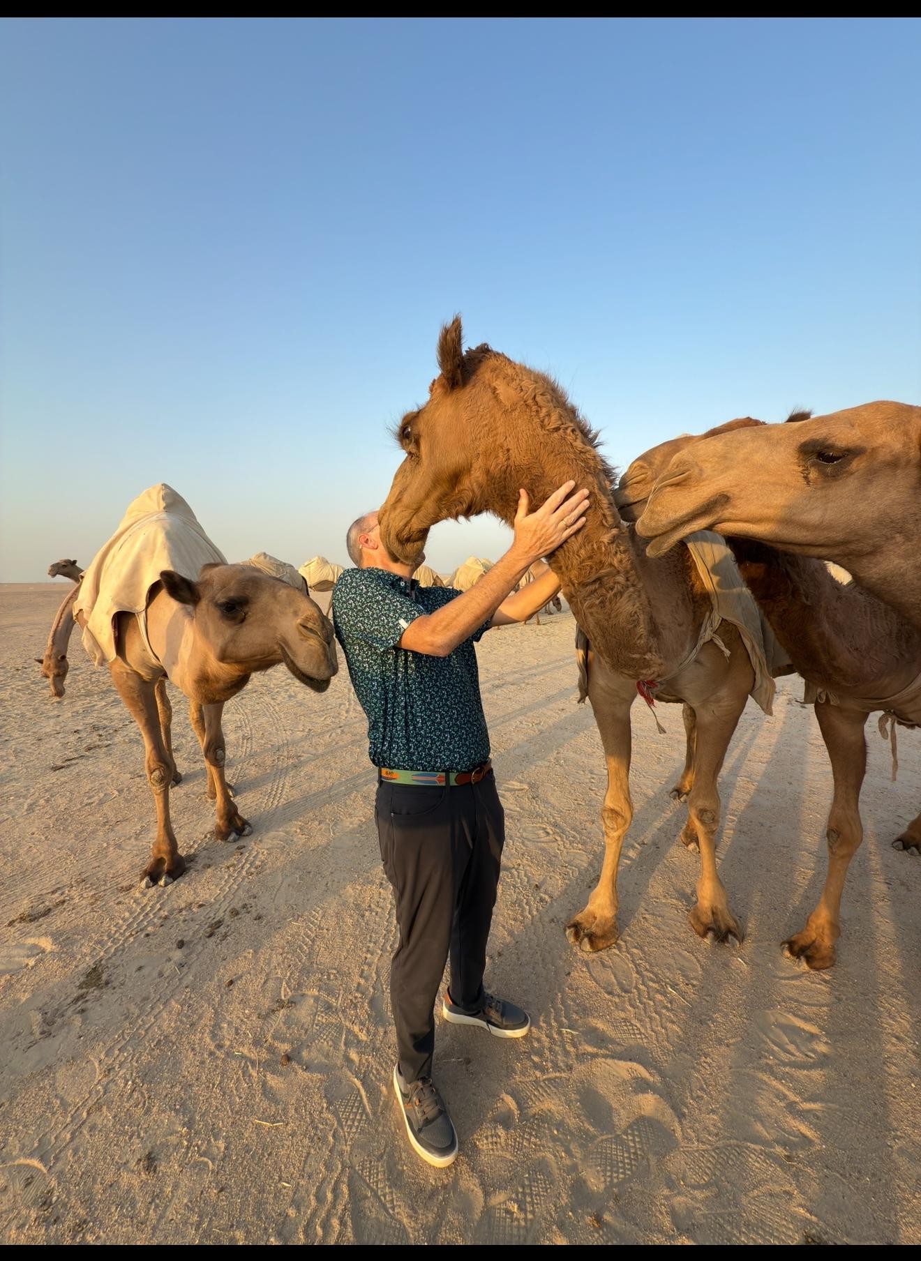 Kuwait: Day &Night Skyline Tour With Local Food & Tea