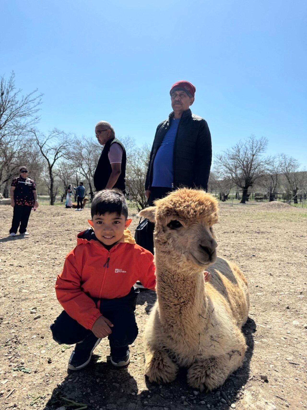 From Baku: Capybara & Alpaca Farm Day Trip with Feeding 2