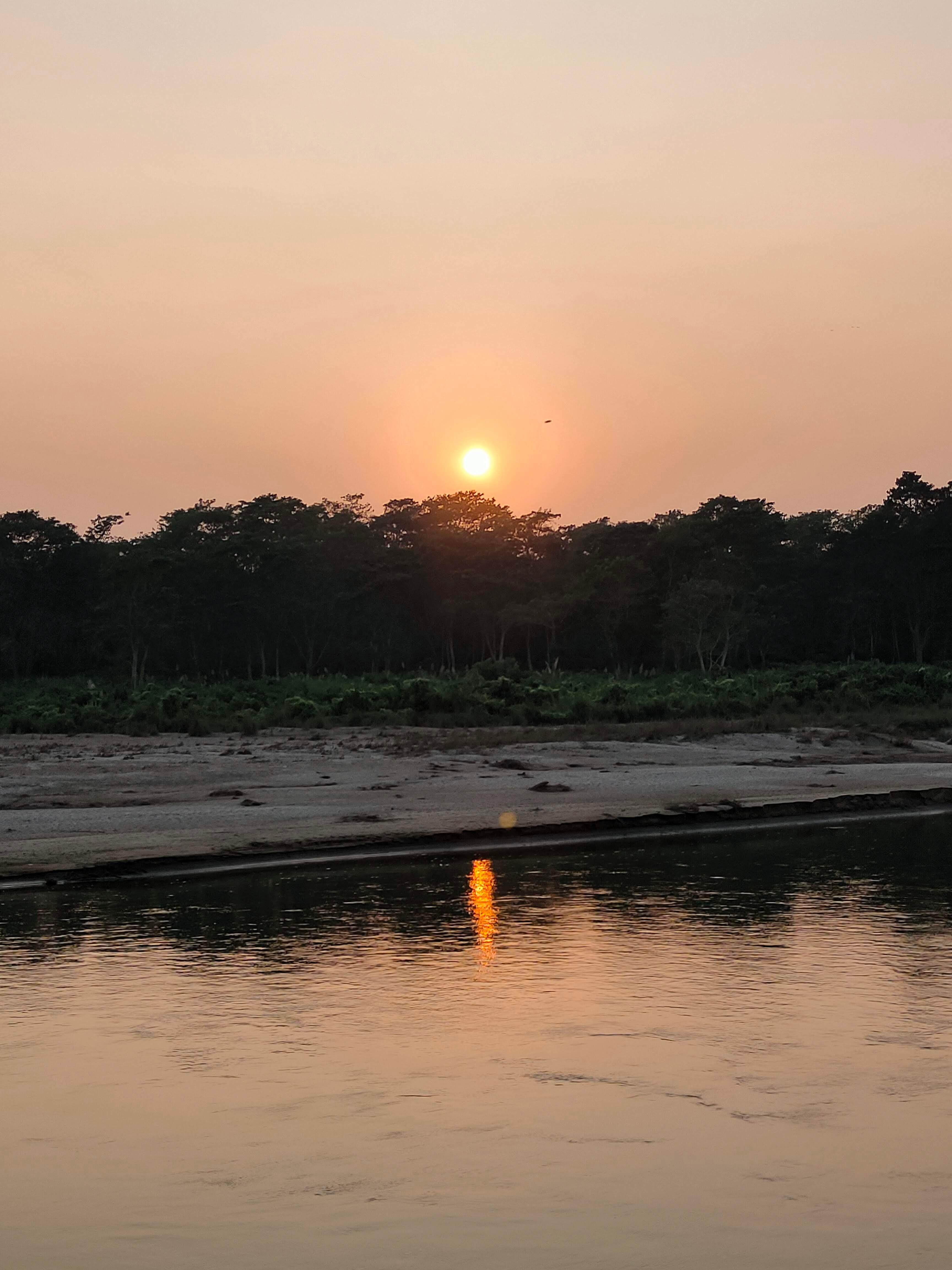 From Kathmandu/Pokhara: 2, 3, or 4-Day Chitwan Jungle Safari 3