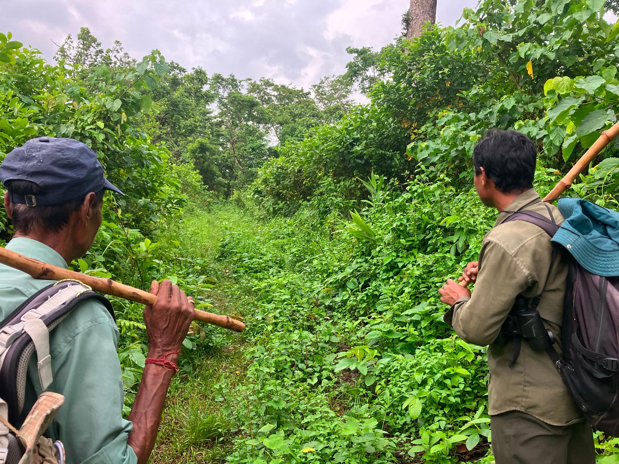 From Chitwan: 3-Night Chitwan Adventure with Jungle Stay