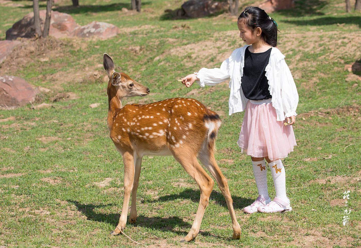 Beijing: Badaling Wildlife Park & Great Wall Tour 2