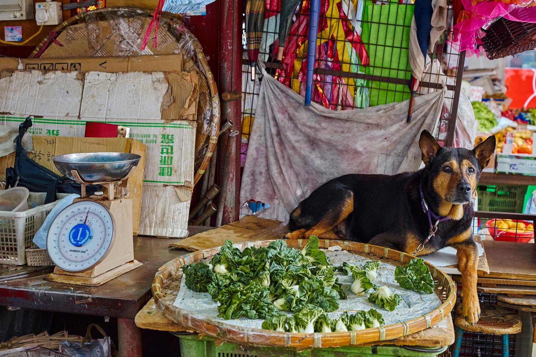 Hong Kong: Photographic Tour of the Yau Tsim Mong District in Kowloon.
