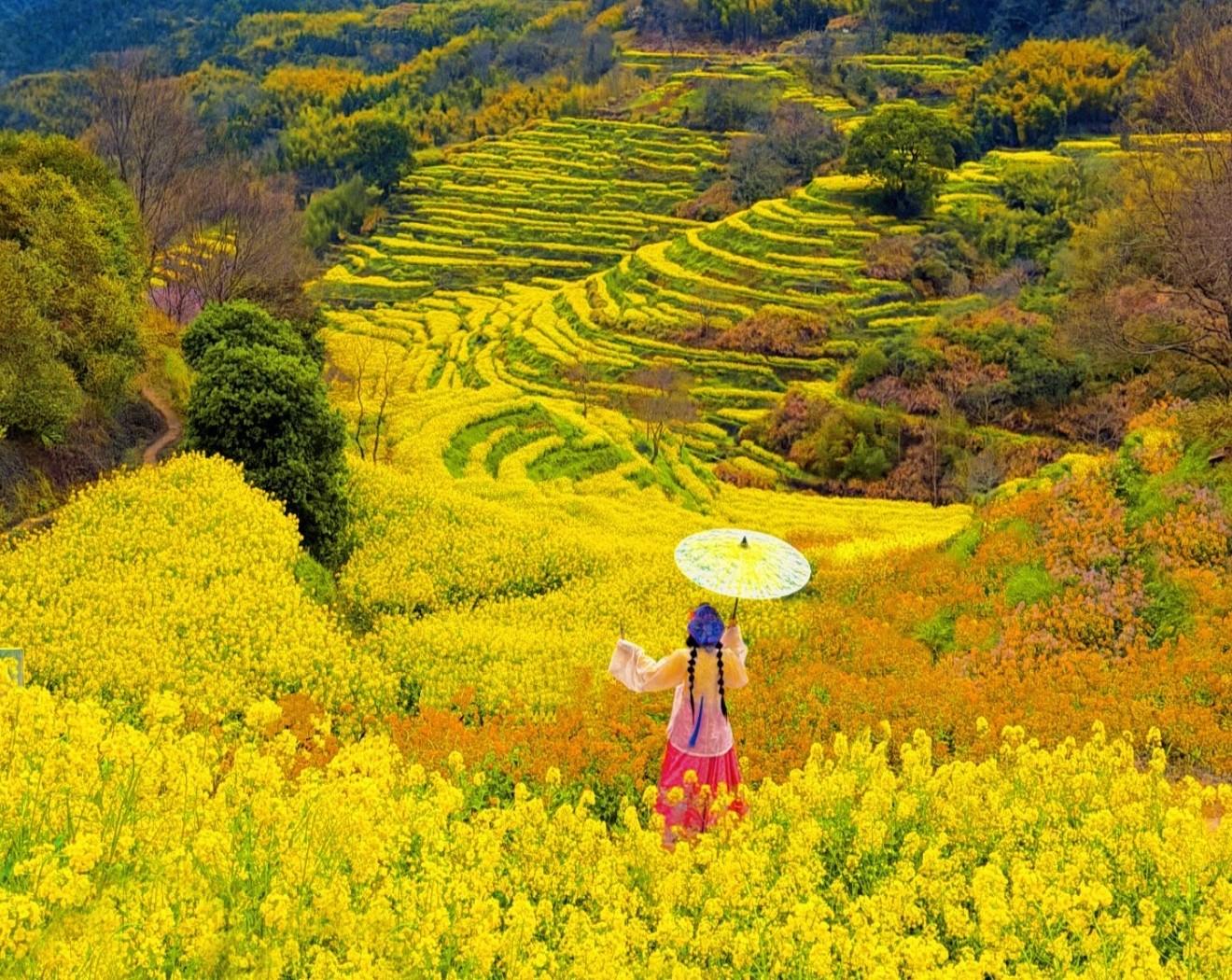 Shanghai: Wuyuan Scenic Area & Wunvzhou Magical 2-Day Trip