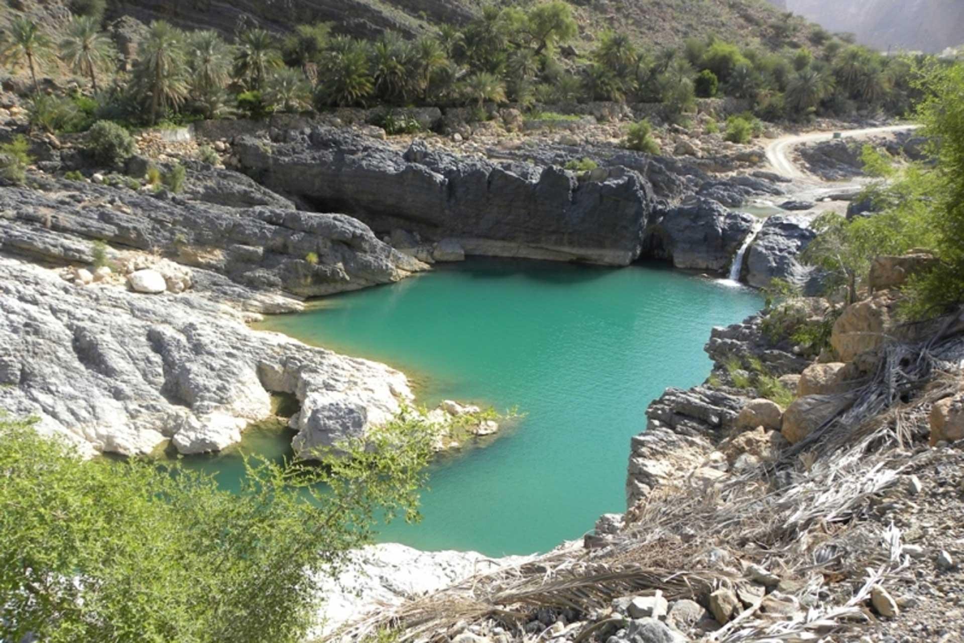 From Muscat: Coastal Wadis & Frankincense Tree 4WD Day Trip 3