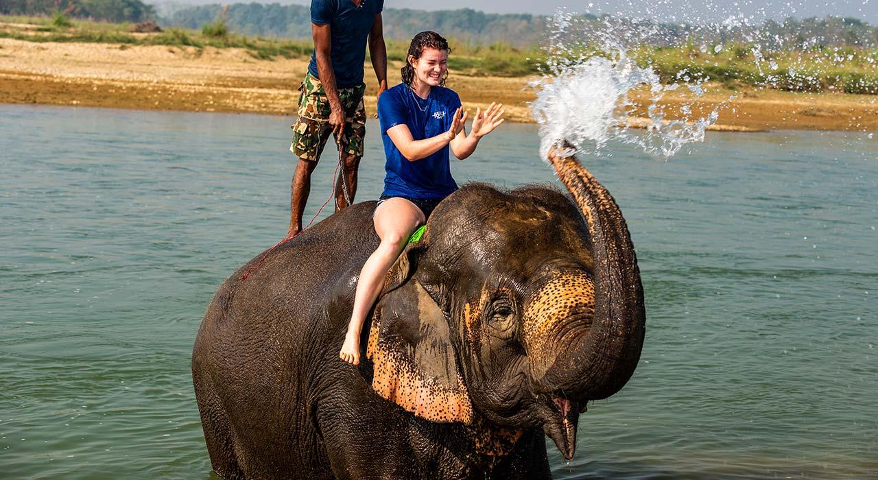 2 Night 3 Days Chitwan National Park/From Kathmandu/Pokhra 2