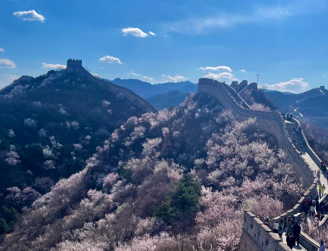 Beijing: Badaling Great Wall VIP Experience with Cable Car 3