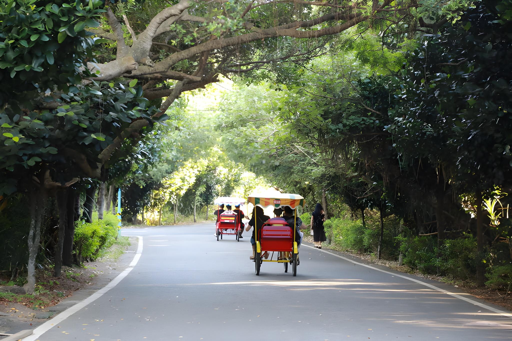 Day Trip from Taipei: Coast Cycling, Railbike & Ginger Spa