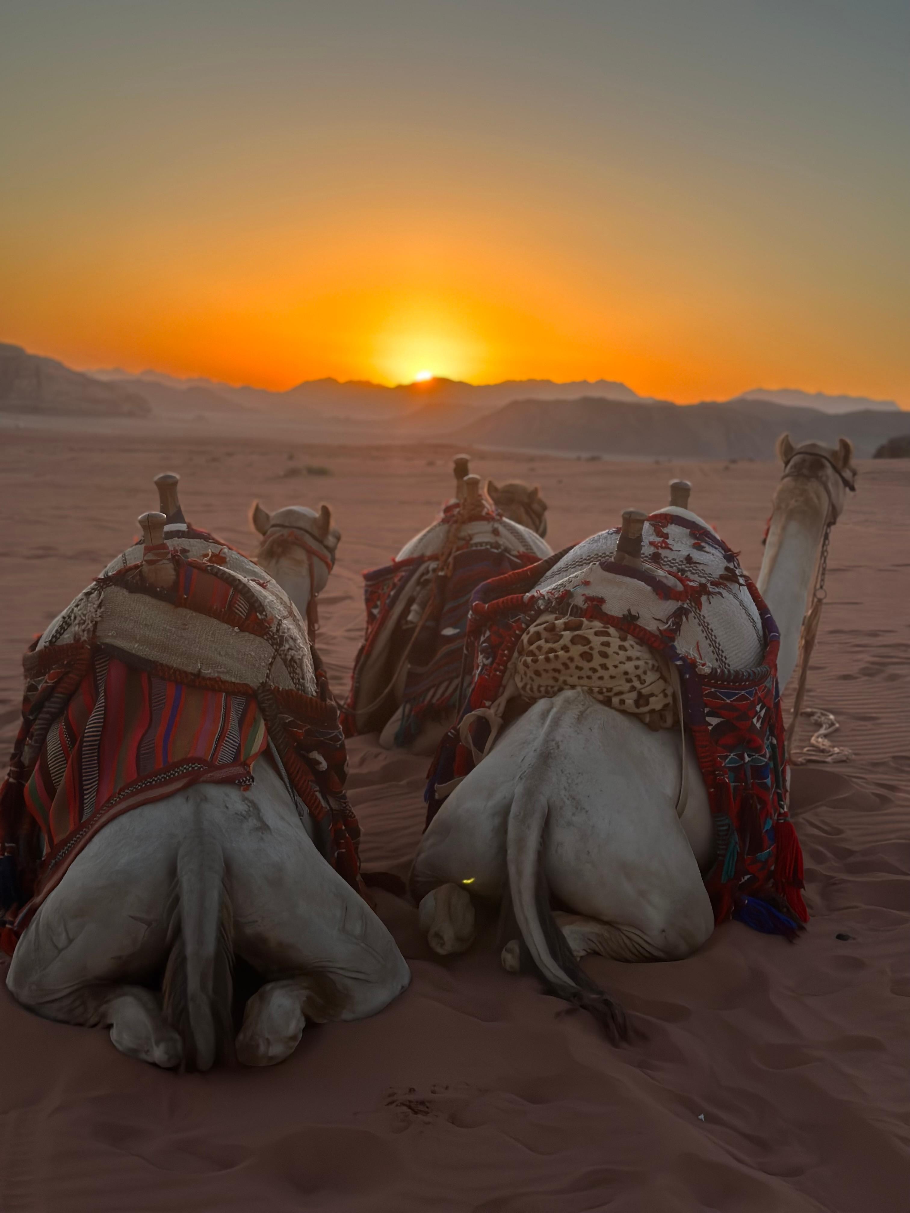 Wadi Rum: White Desert Overnight Safari with Meals 3