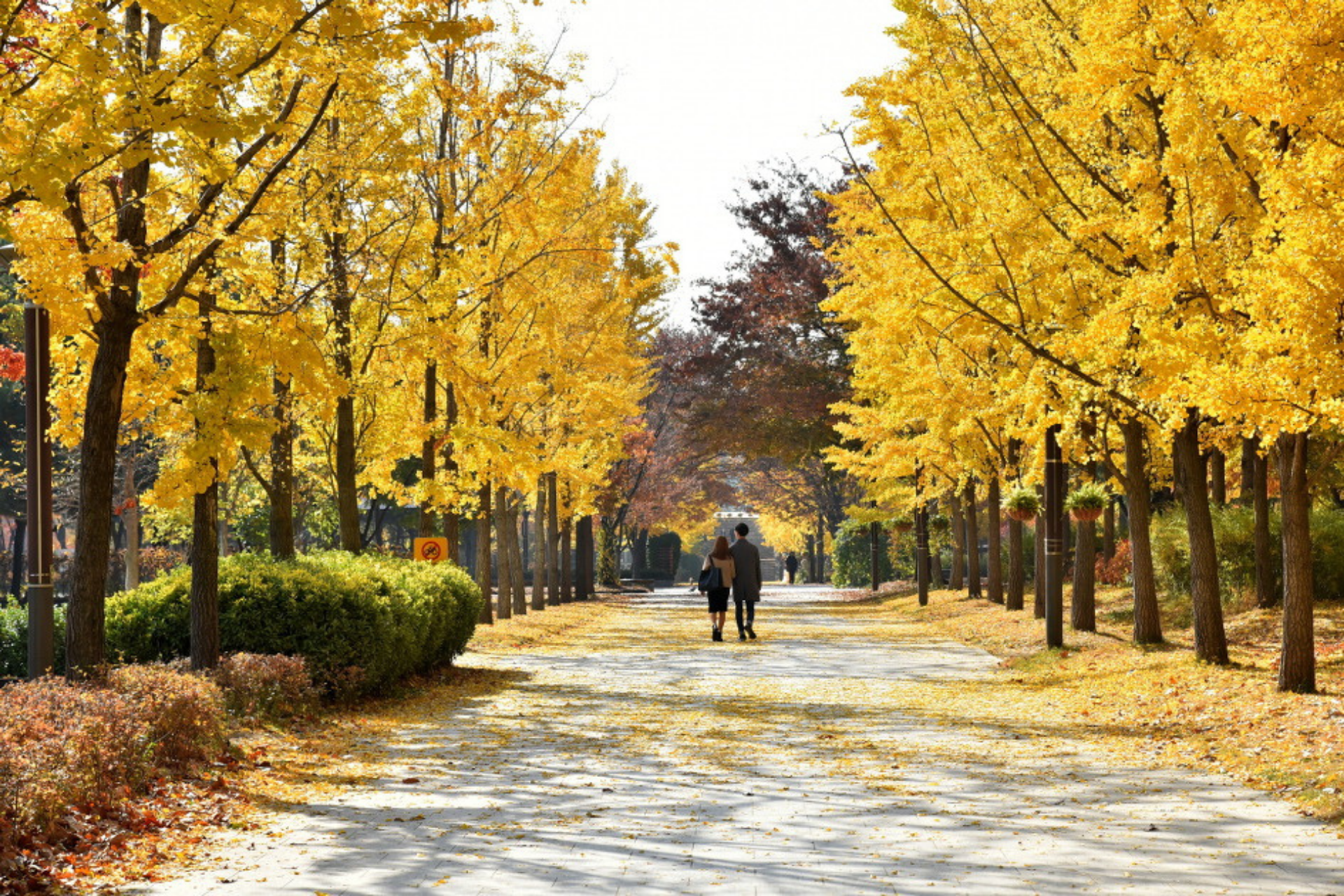 Seongsu-dong Korean Culture, K-Pop and Café Tour in Seoul 3