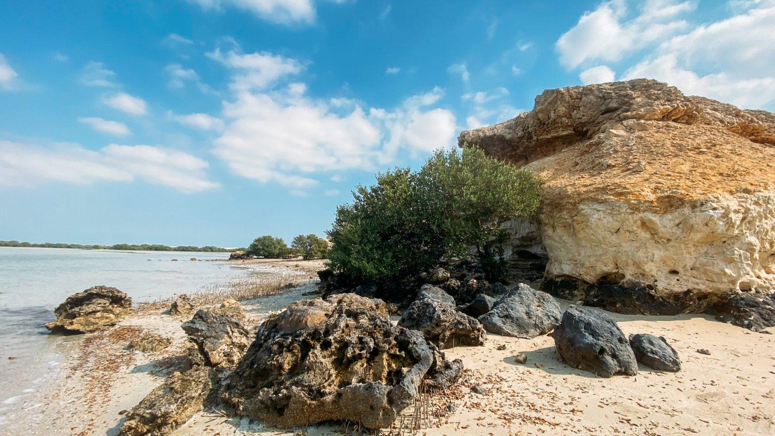 Qatar: North & West Tour of Zubara Fort, Mangroves & Zekreet 2