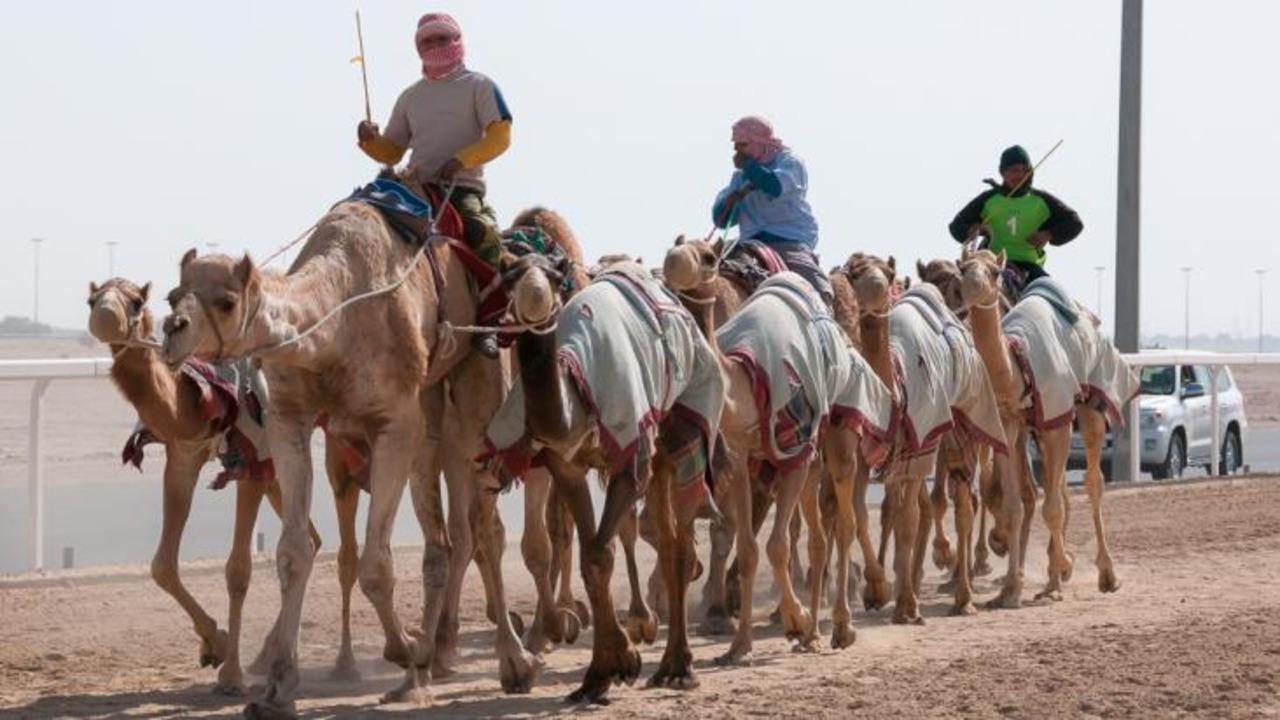 West Qatar-Doha Richard sierra,camel race,mushroom rock 2