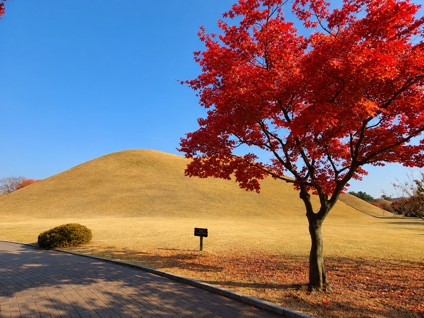 Busan: Gyeongju UNESCO Authentic Full Day Guided Tour 2