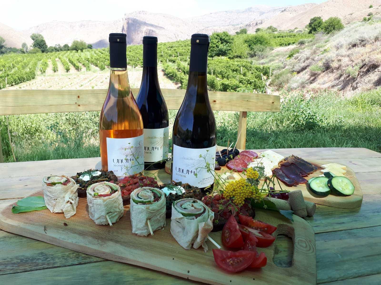 Vayots Dzor Wine Route Day Tour, discover Areni's Wineries 3