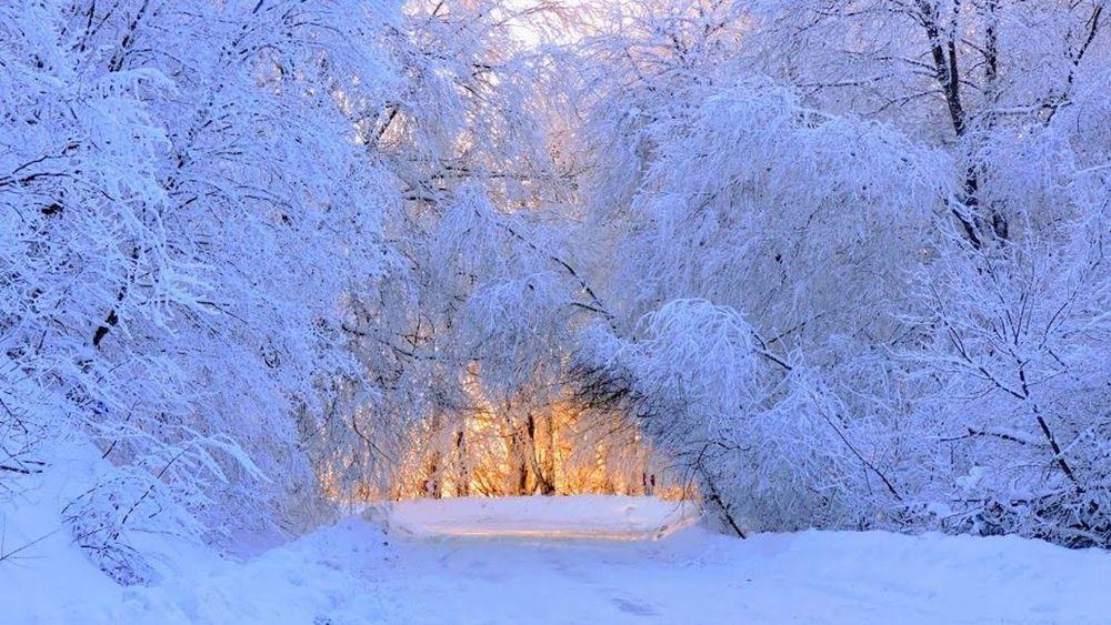 Tbilisi: Sabaduri Forest, Wildlife Center & Didgori Trip