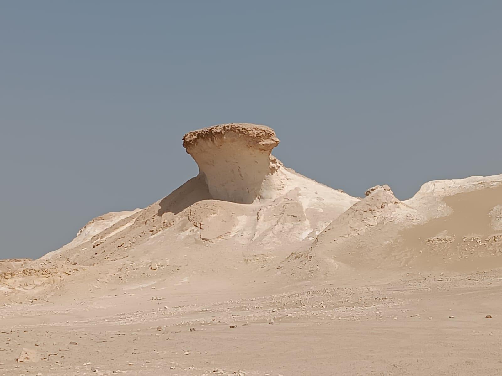 Doha: Camel Race Track, Zekreet, and Art Installation Tour