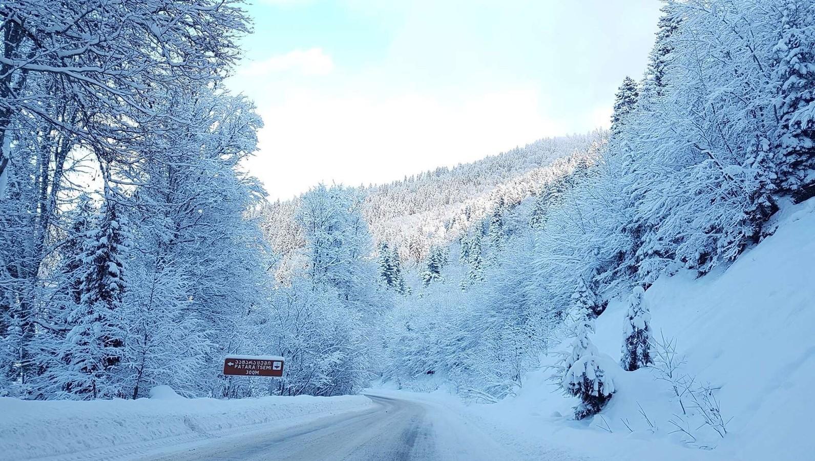 From Tbilisi: Borjomi and Bakuriani Day Trip ☃️ 2