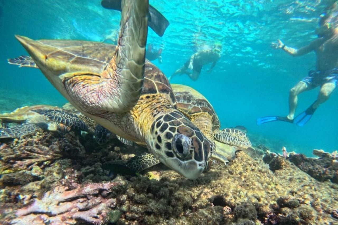 Muscat: Daymaniat Islands Snorkeling with Lunch & Refresment