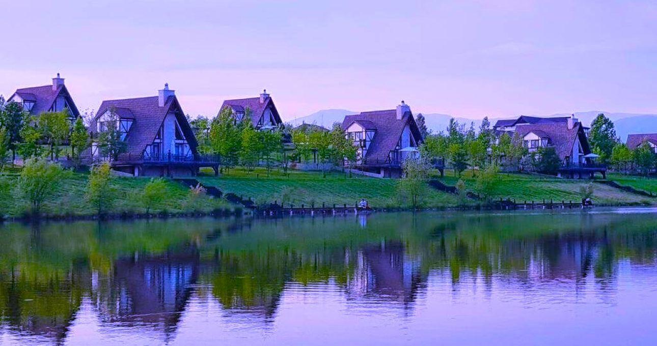 All-Inclusive Private Shamakhi Alpaca and Wine Experience 3