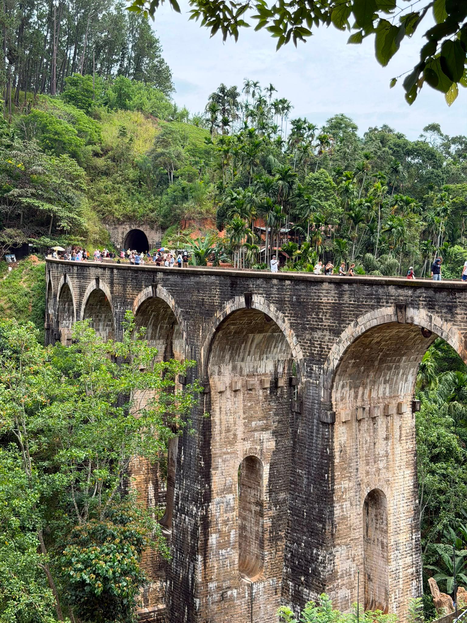 Sri Lanka: 10-Day Private Tour with Driver & Vehicle