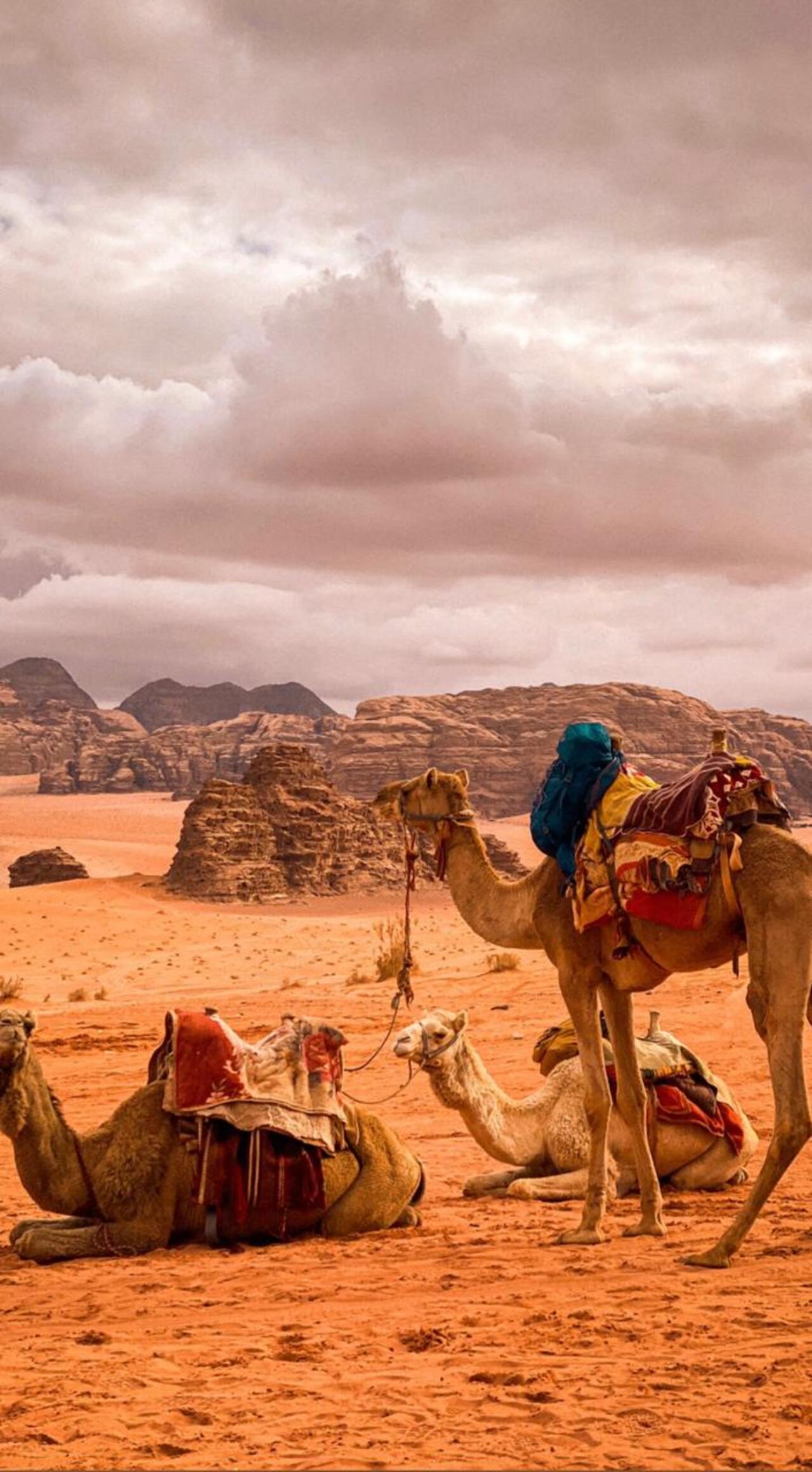 Wadi Rum: Full-Day Jeep With overnight Dinner and breakfast 3