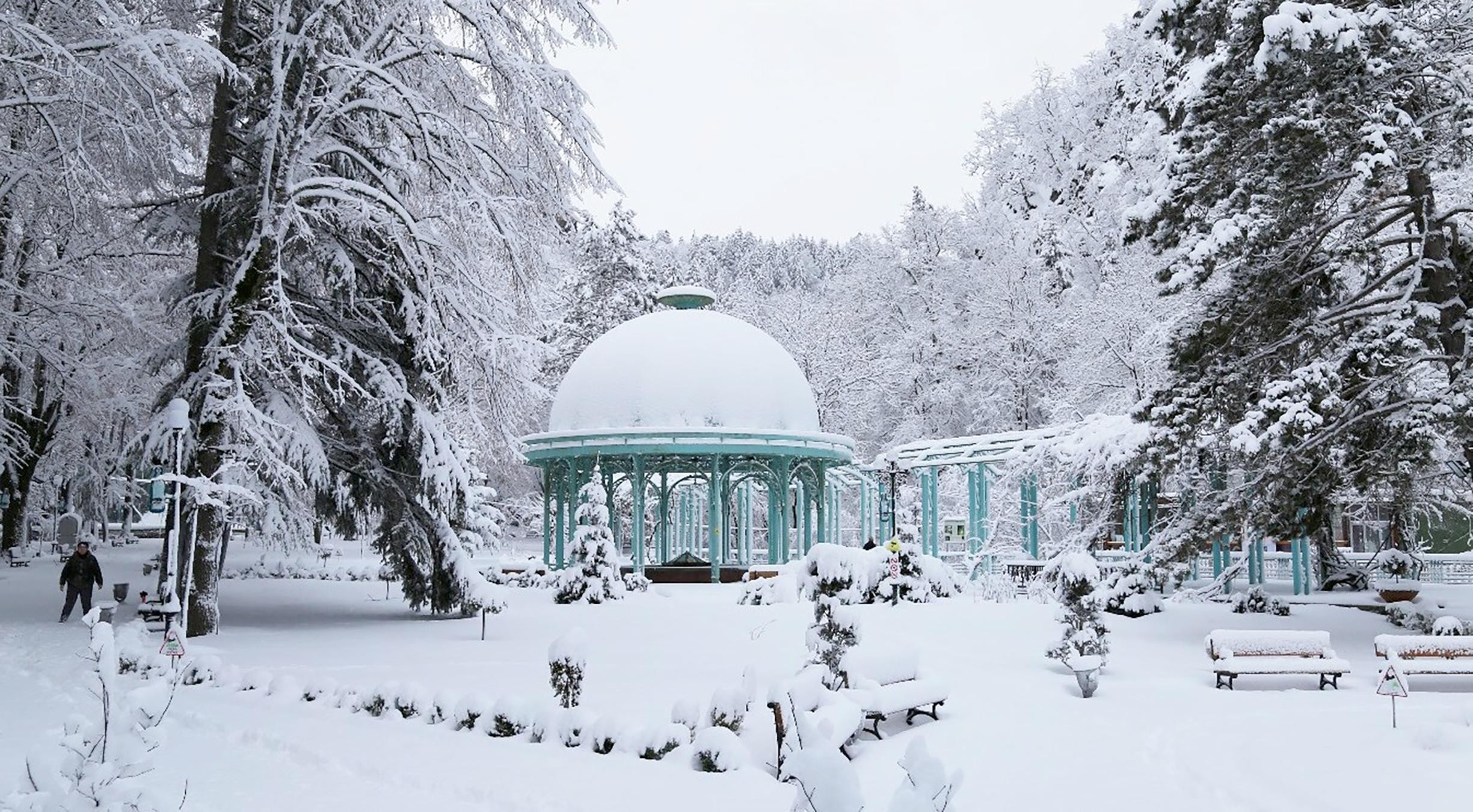 From Tbilisi: Borjomi, Stagveri & Bakuriani Winter Adventure