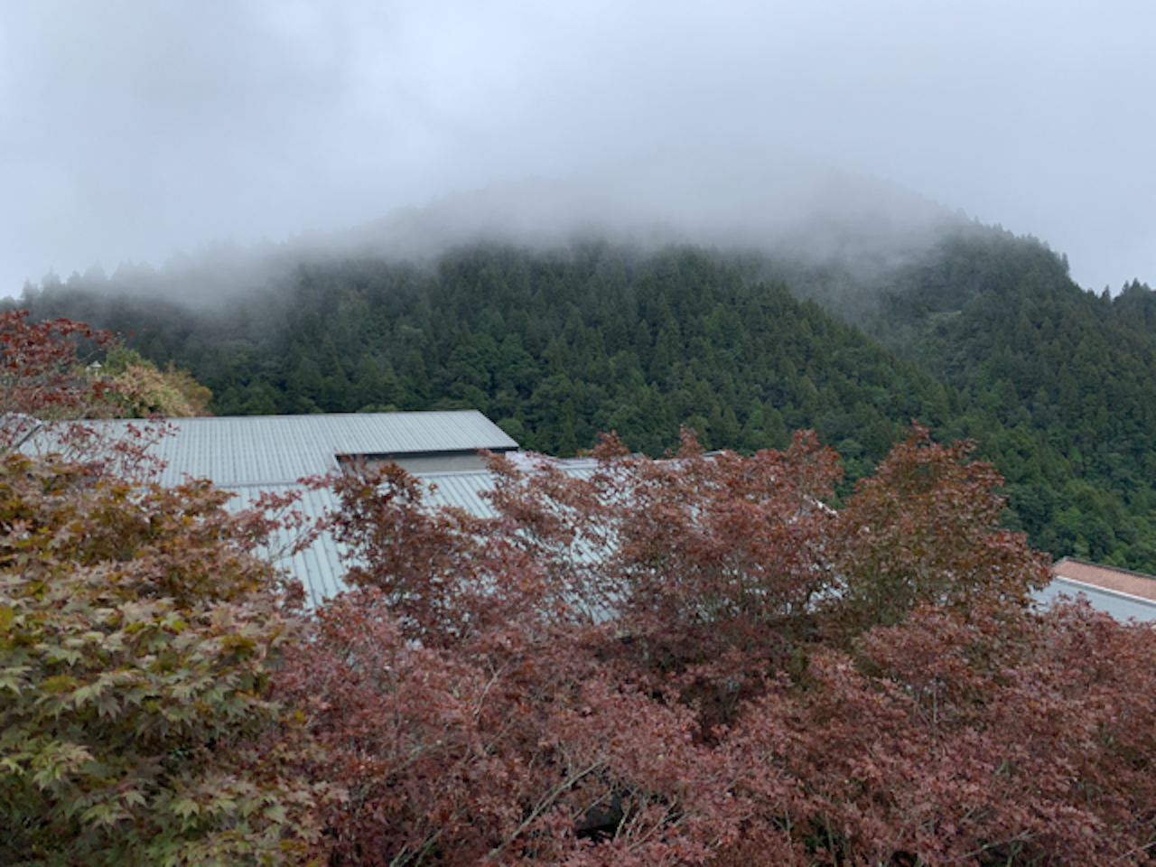 From Taipei: Taipingshan & Jiuzhize Hot Spring Private Tour 3