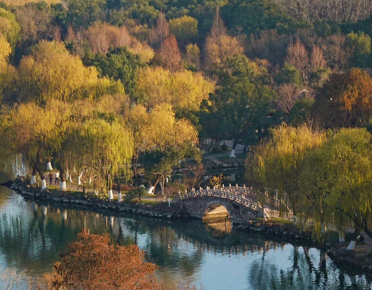 Shanghai:Jiaxing Day Trip with Boat Ride&Zicheng Ruins Park
