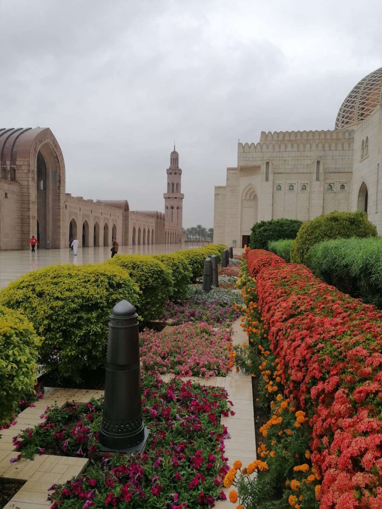 Muscat : Half-Day Guided City Tour with Pick-Up & Drop-Off 2