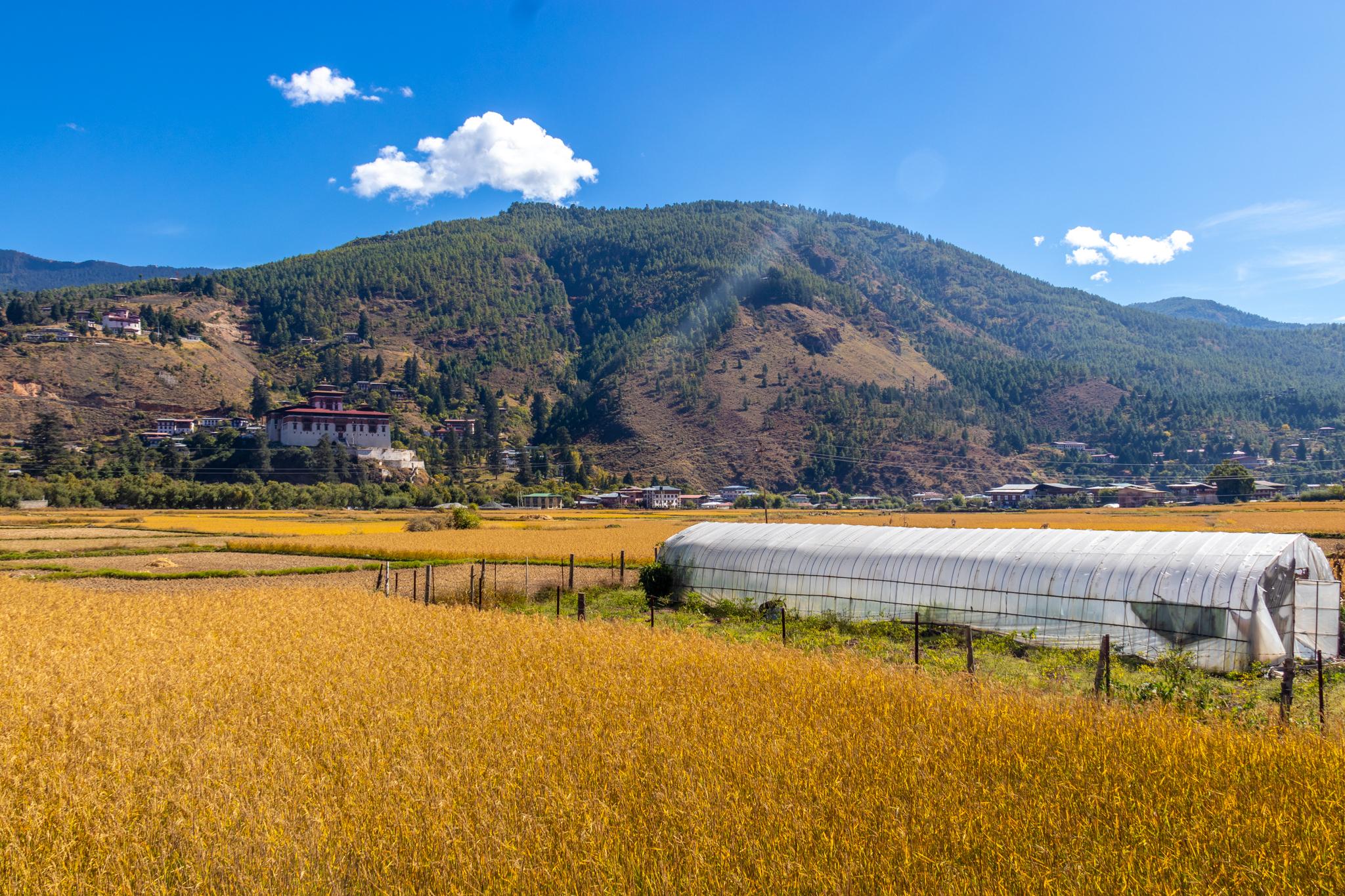 From Phuentsholing to Paro Valley with Stops 3