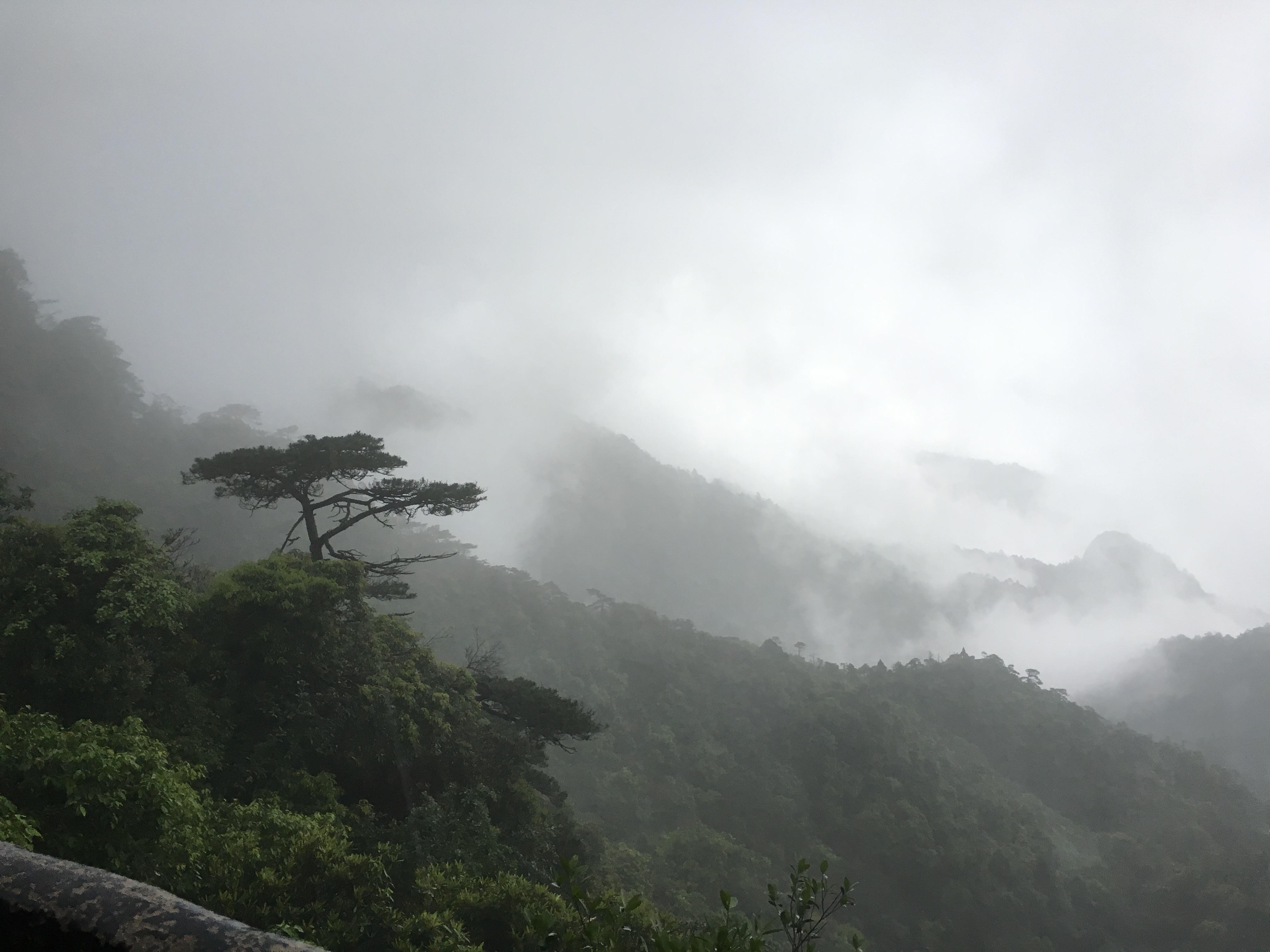 Shanghai: Sanqingshan & Xiaoyao Valley 2-Day Private Tour 2