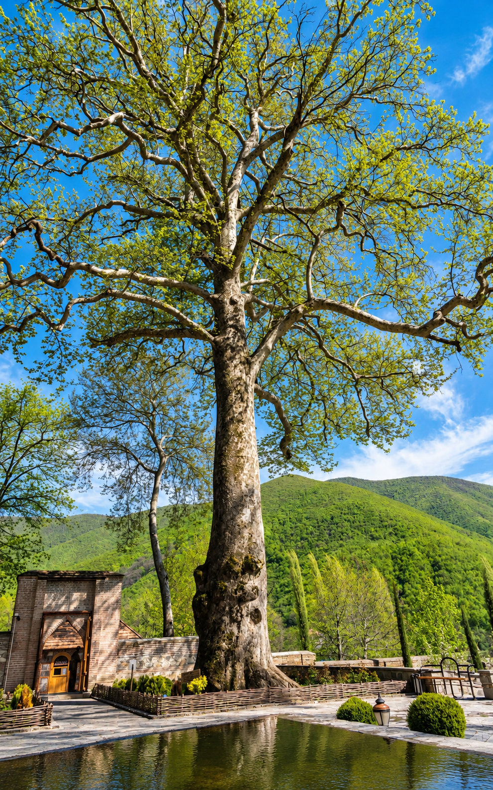 Find Your Luck: 2-Day Sheki Tour with Tree of Fortune Ritual