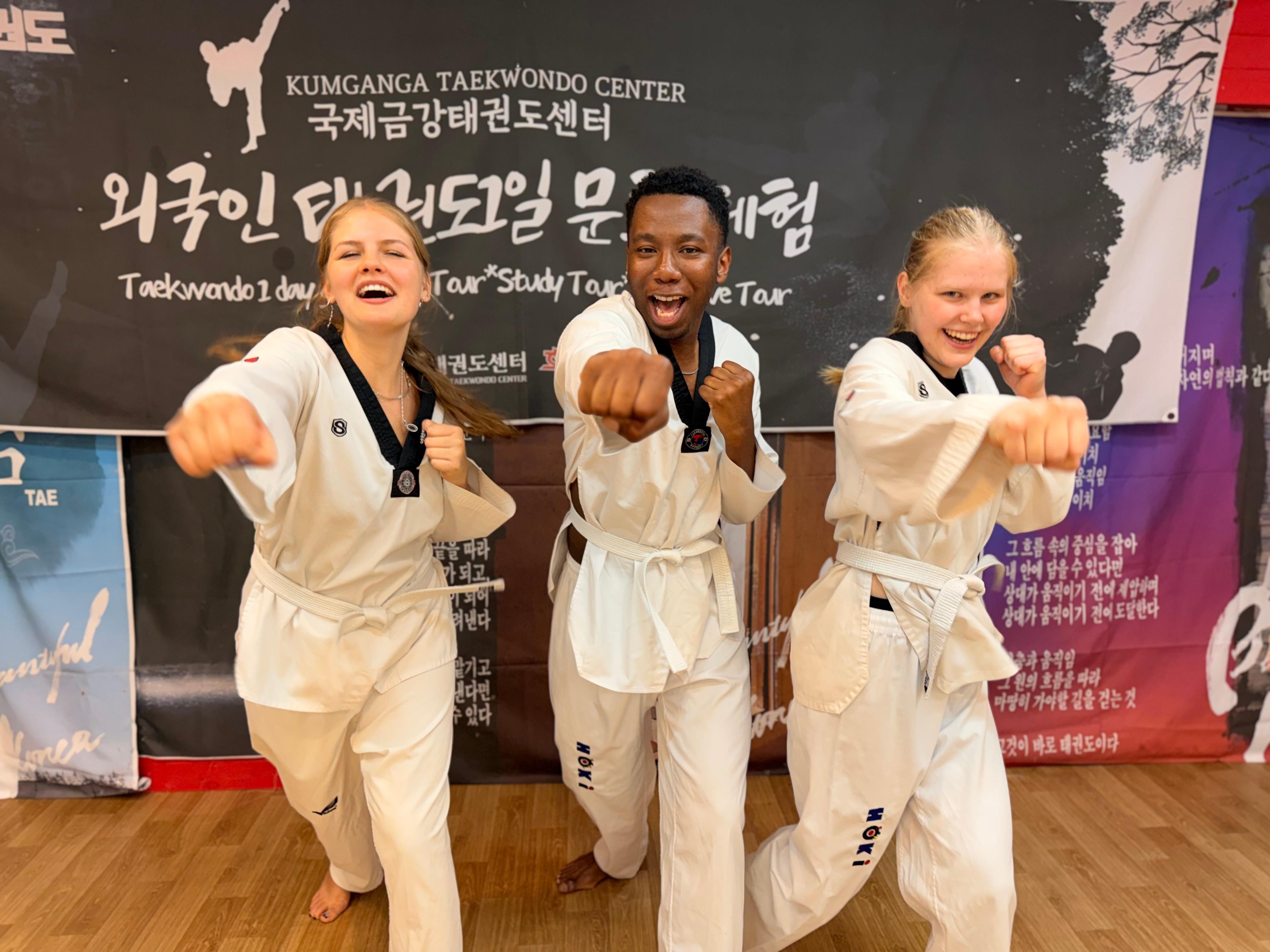 Seoul: Authentic Korean Taekwondo Cultural Experience 2