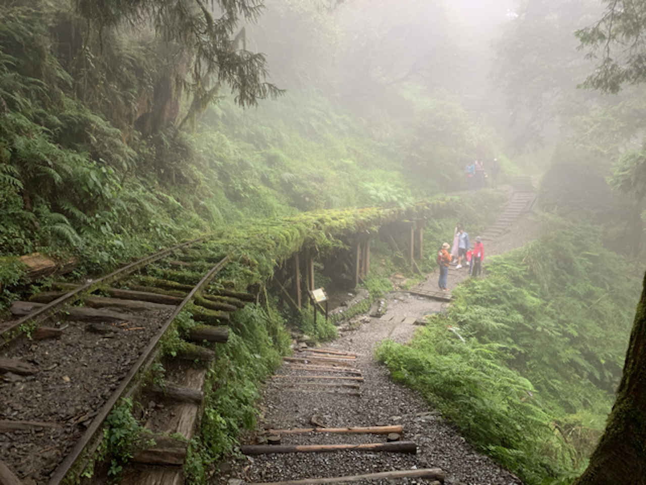From Taipei: Taipingshan National Forest Private Day Tour 2
