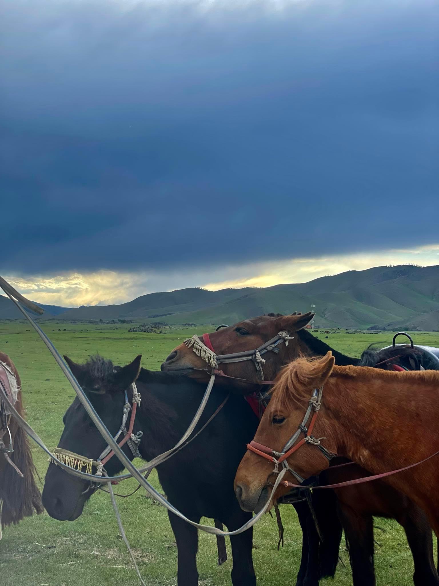3 Day Best Experience in Mongolia 2