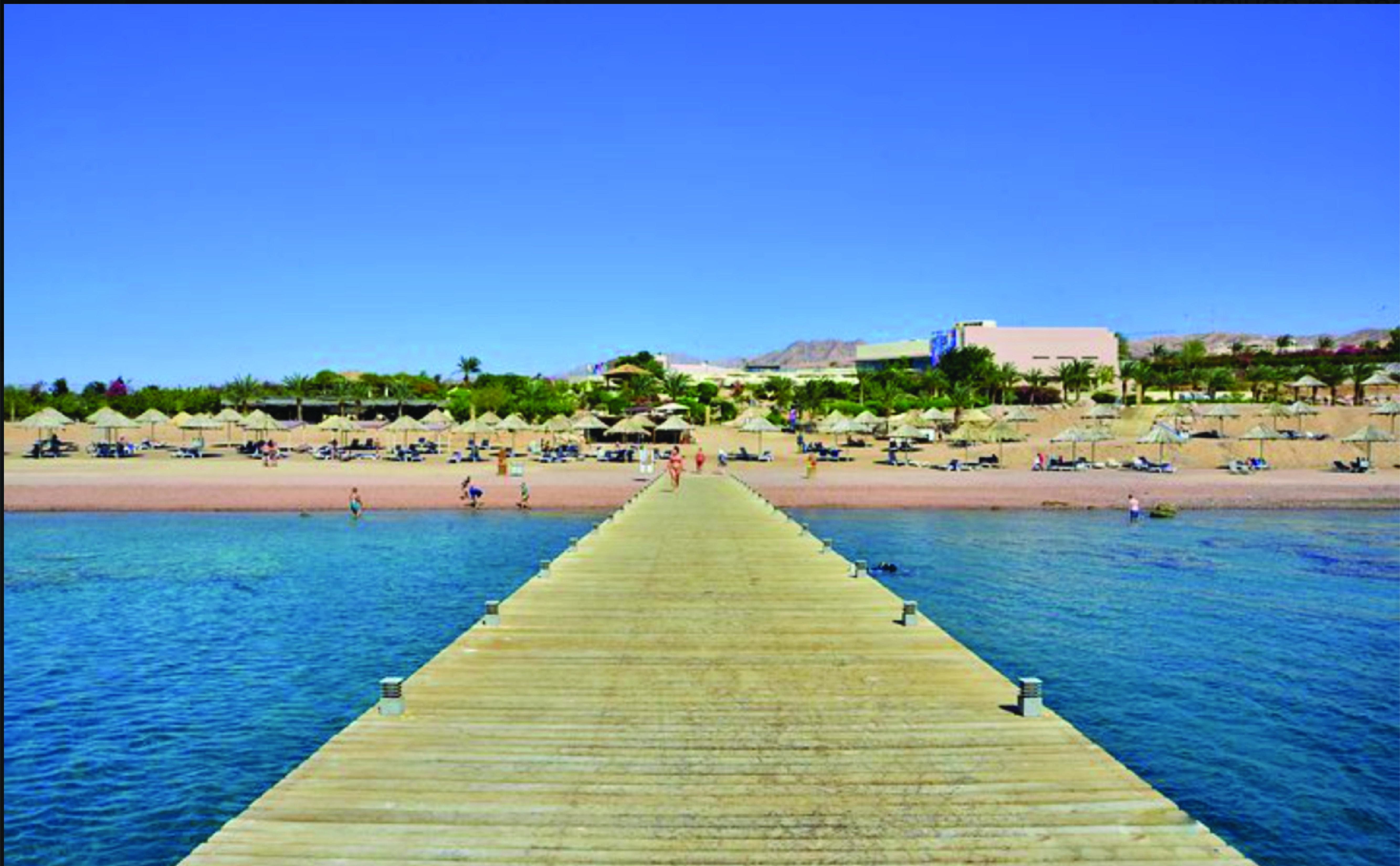 Glass Boat & Snorkeling with day use of Berenice Beach Club 2