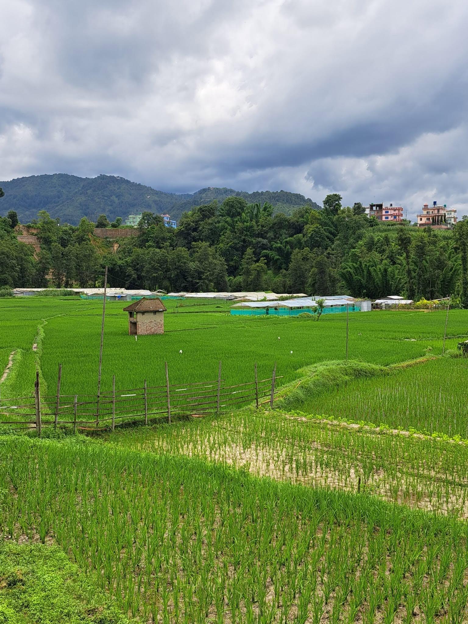 Bhaktapur: Guided Hike to Changunarayan Temple with Transfer