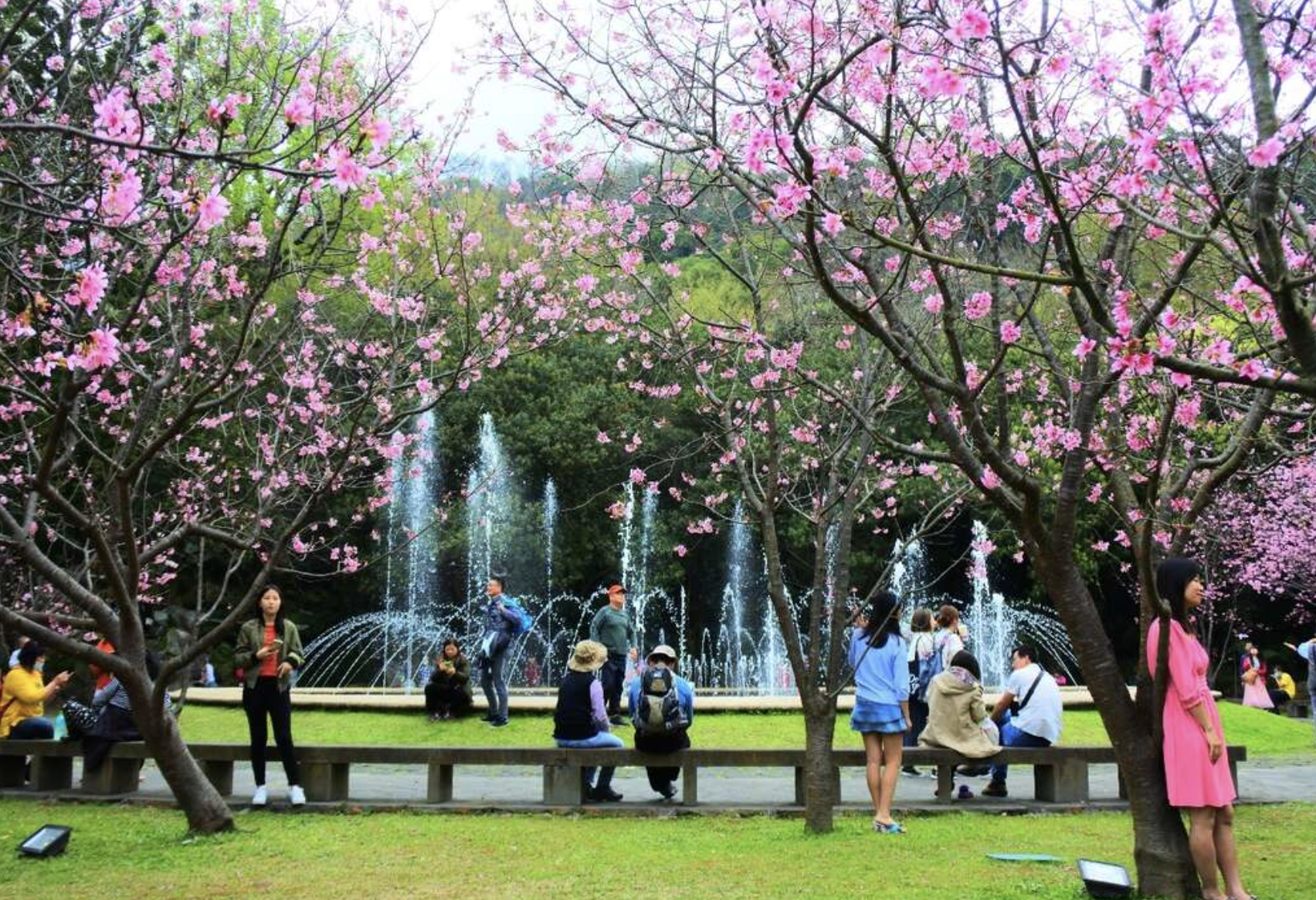 Yangmingshan & Beitou Geothermal Wonders Day Tour 3