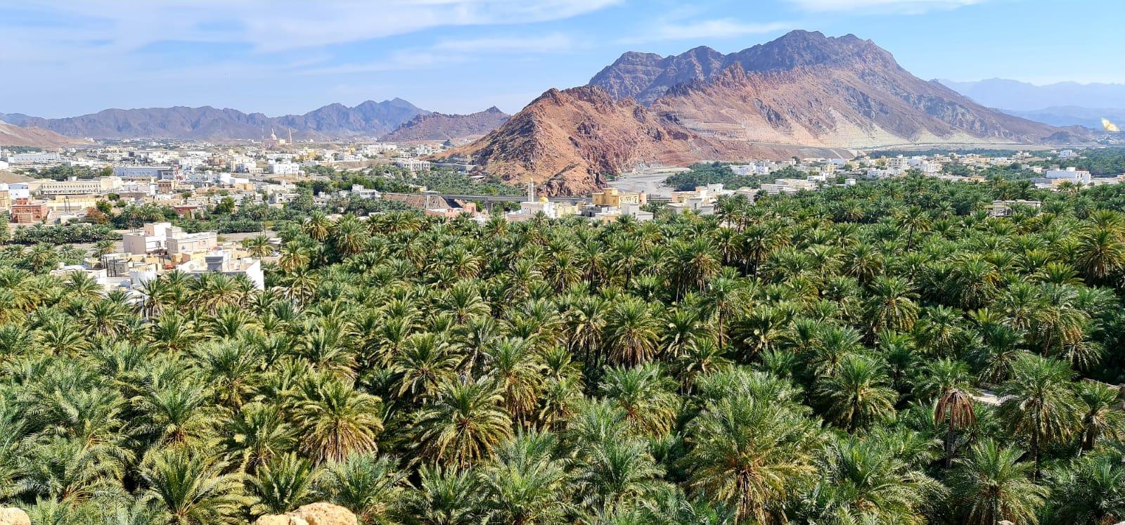 Muscat: Private Fanja Village, Souq, and Wadi Tayeen Tour 3