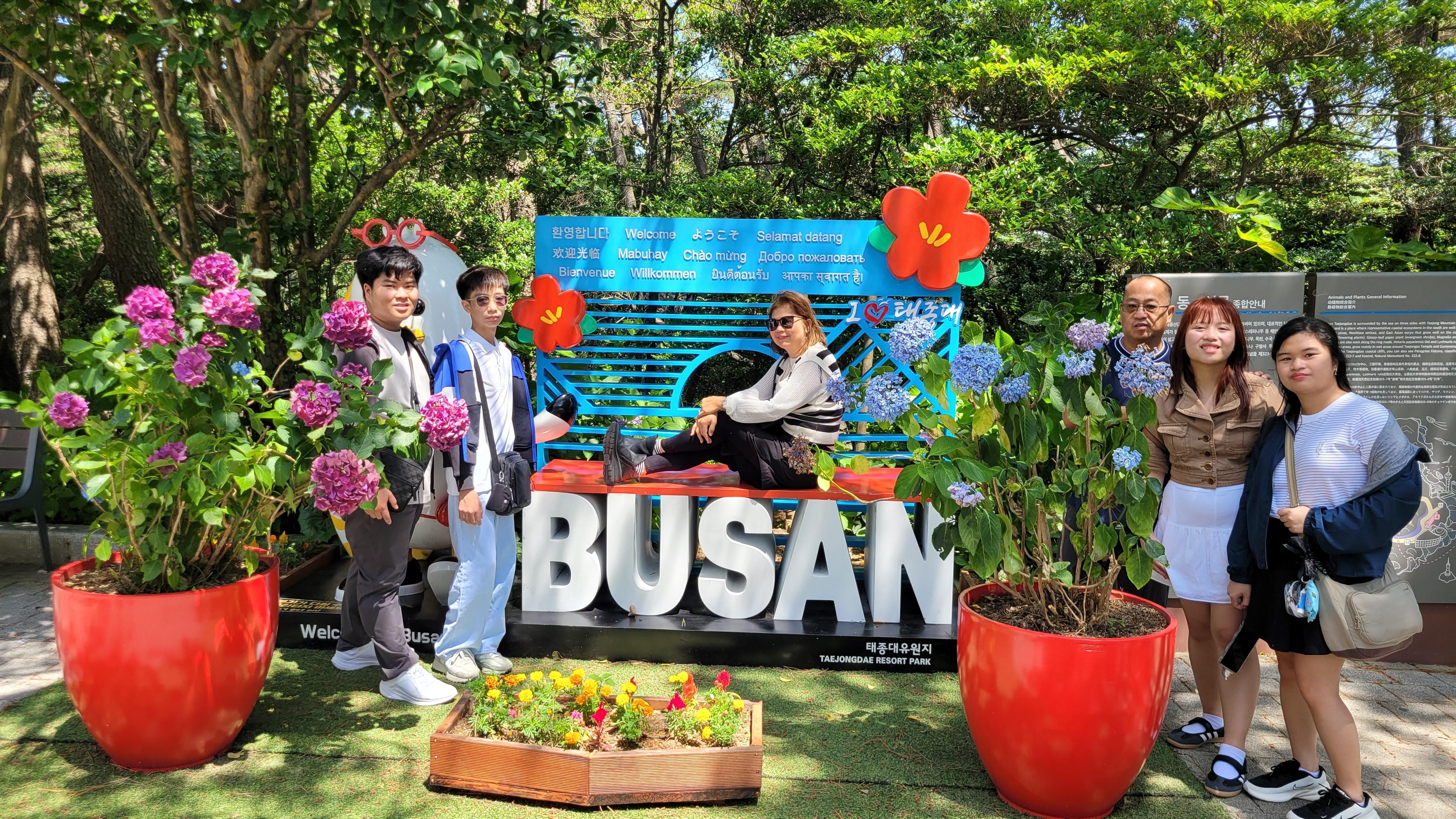 Busan Highlights Day Tour from Seoul by KTX - Blueline Train