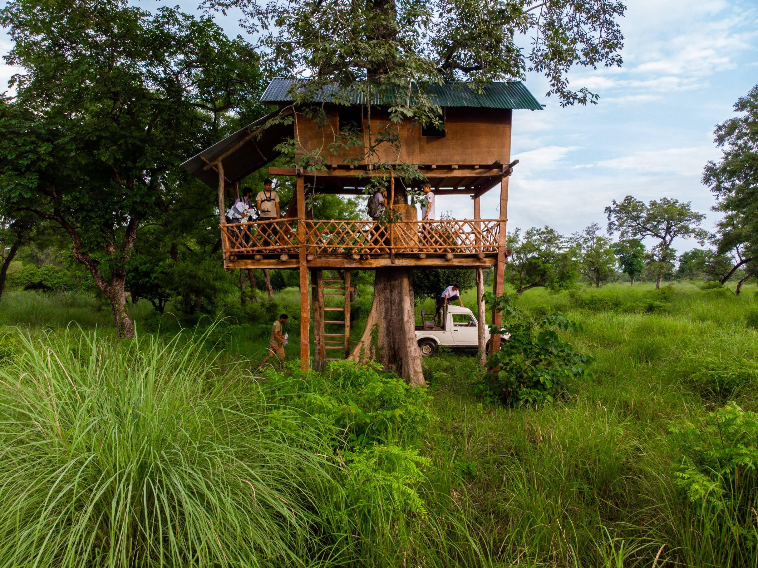 From Kathmandu/Pokhara: Bardiya National Park 4-Day Tour 3