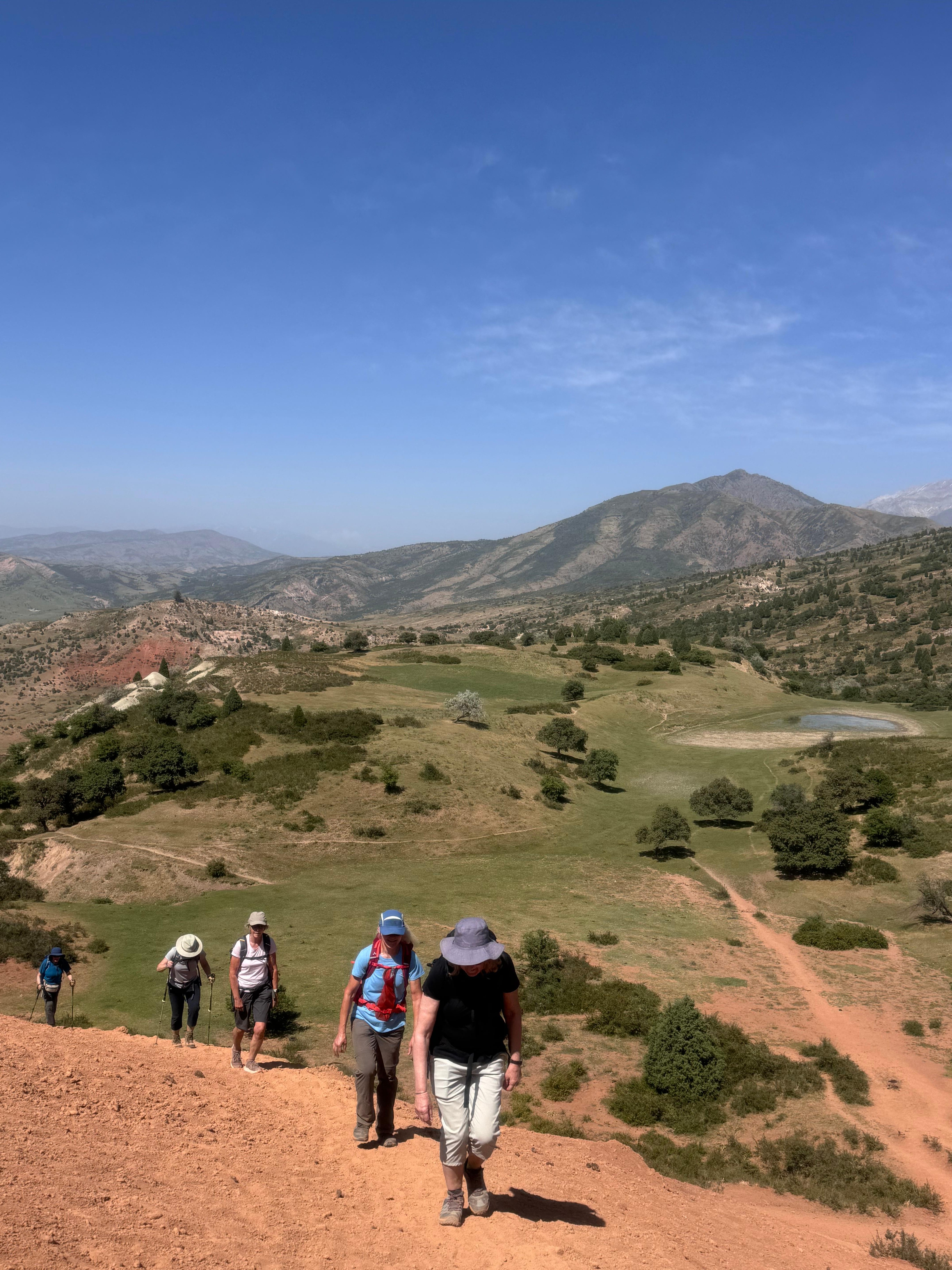 From Tashkent: Chimgan Valley Hiking Day Trip for All Levels 2